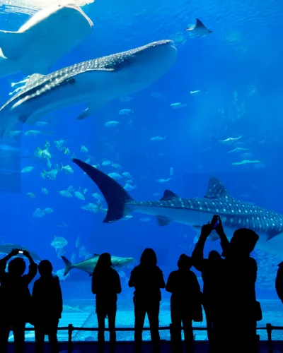 avis l'aquarium de paris