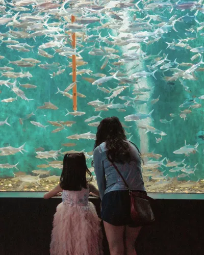 avis sur l'aquarium de paris