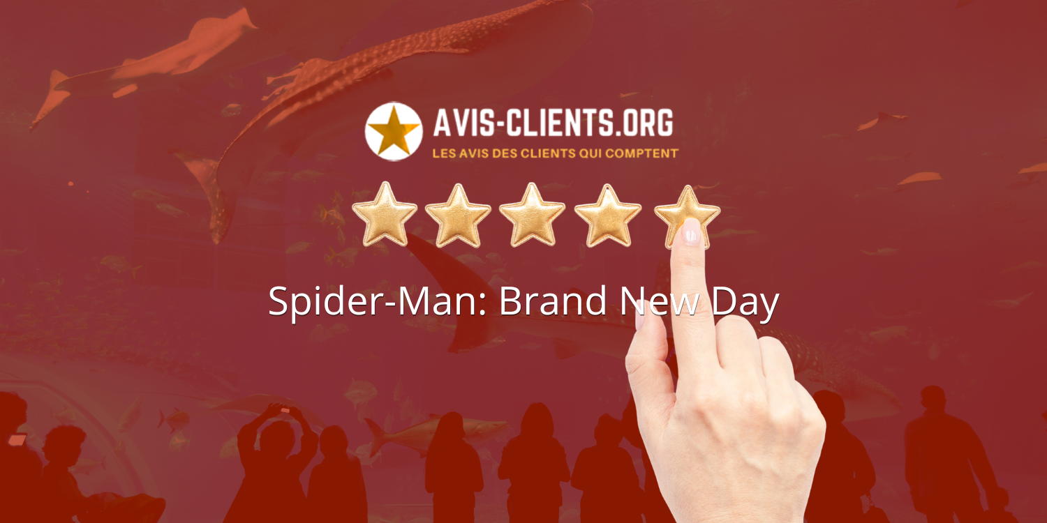 avis sur Spider Man Brand New Day